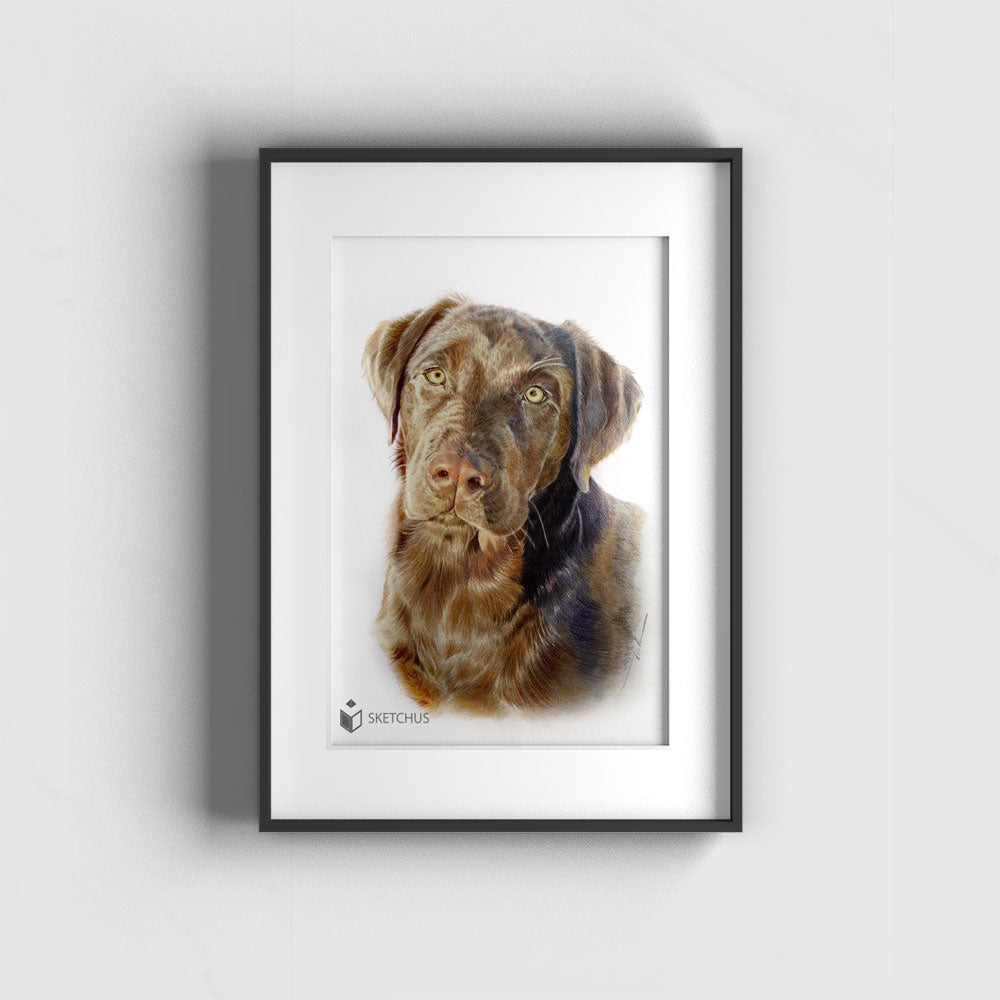 Hundeportrait Hundezeichnung Handzeichnung